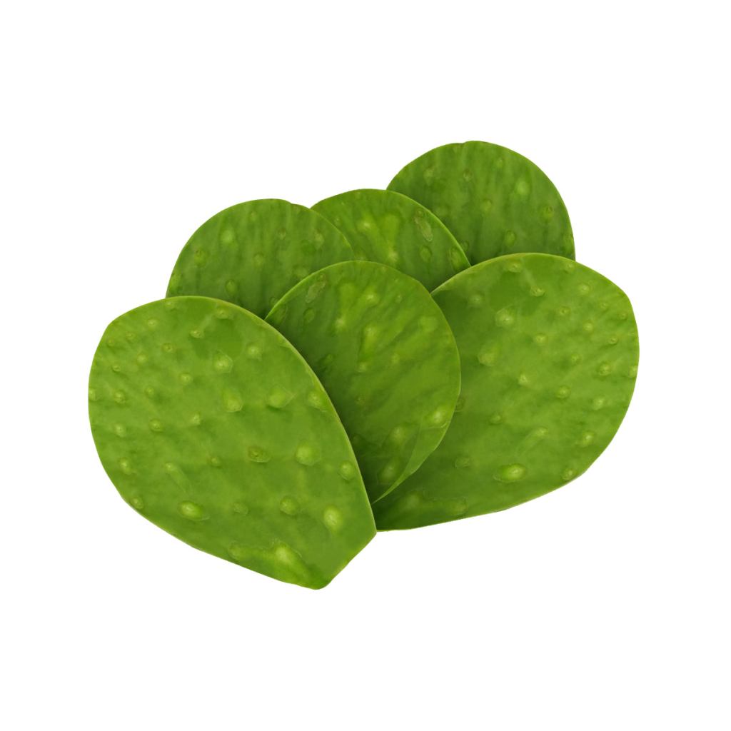 NOPALES SIN ESPINAS (Kg)