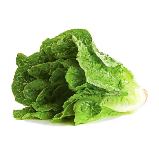 LECHUGA OREJONA (Kg)