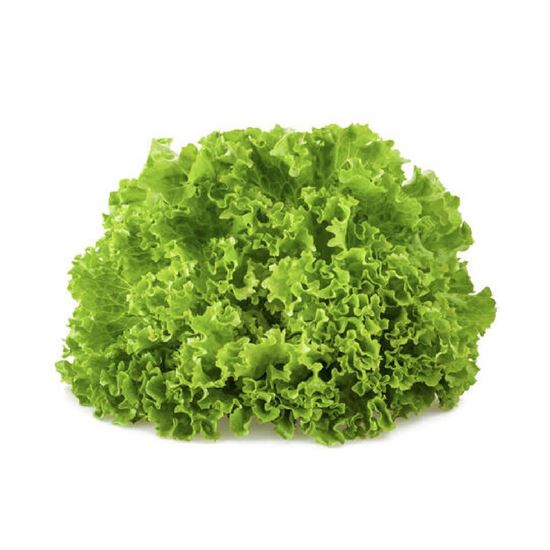 LECHUGA ITALIANA (Kg)