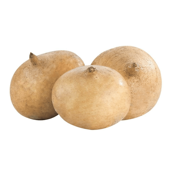 JICAMA (Kg)