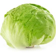 LECHUGA ROMANA PZ