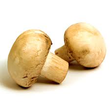 CHAMPIÑONES KG