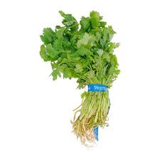 CILANTRO MANOJO