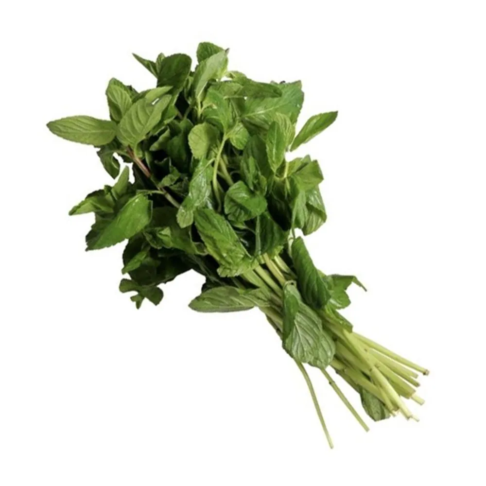 HIERBABUENA KG