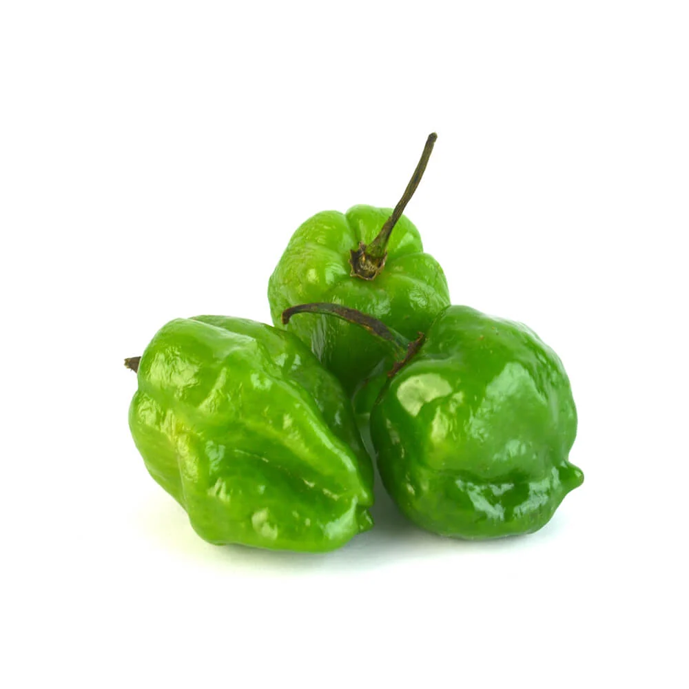 CHILE HABANERO KG