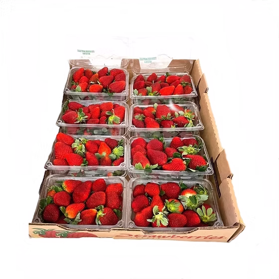 CAJA DE FRESA POR DOMO (4KG)